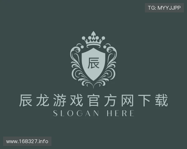 导引辰龙游戏官方网下载